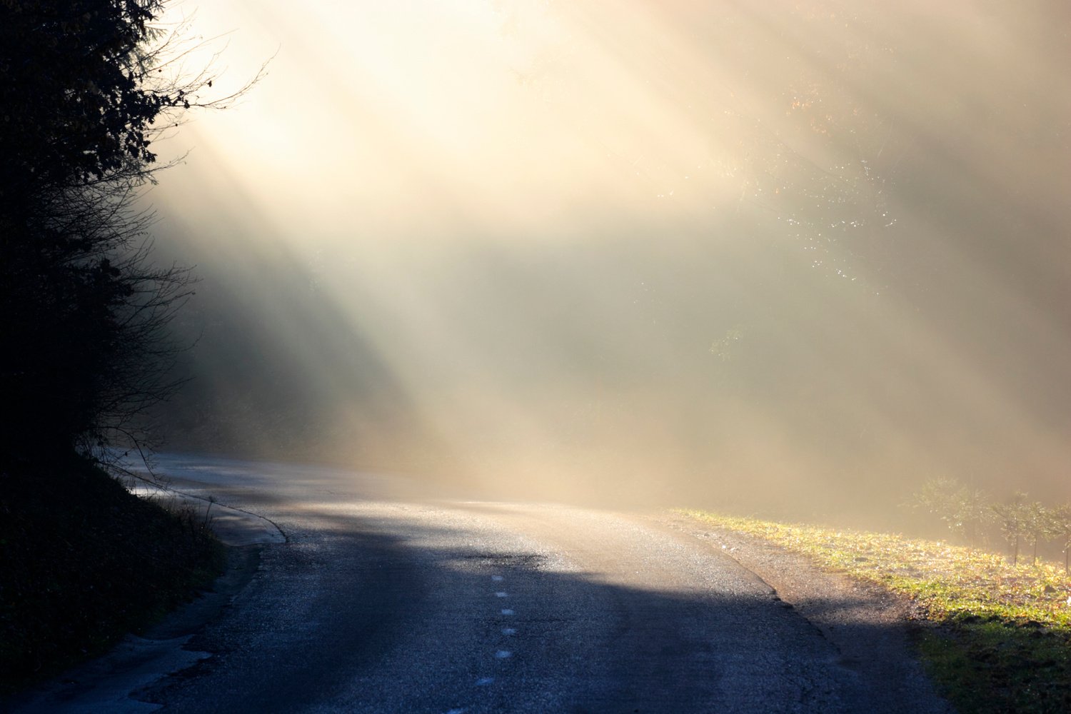 Driving into a bright future